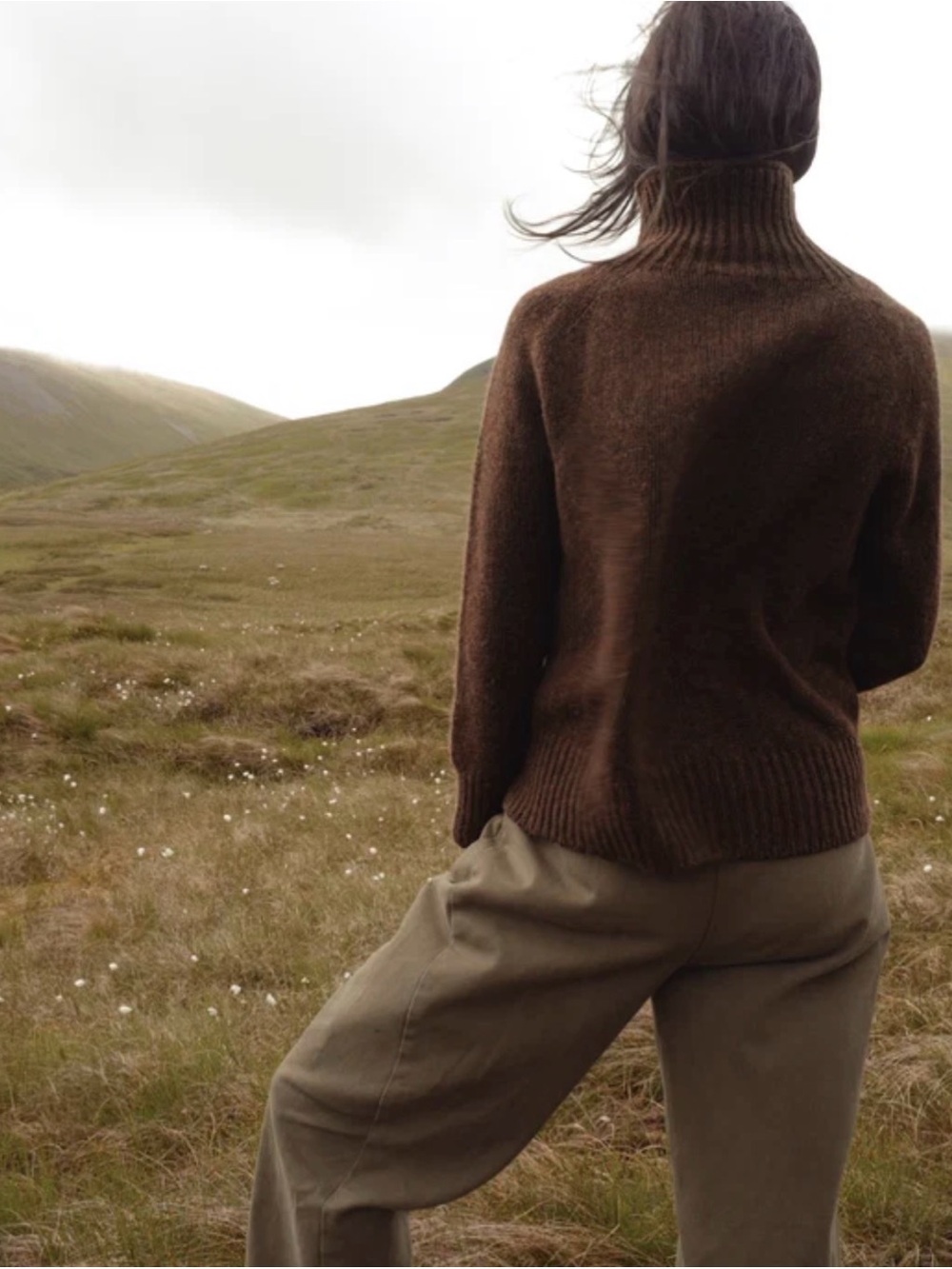 Siskin Lambswool Rollneck Sweater - Picture 3 of 5